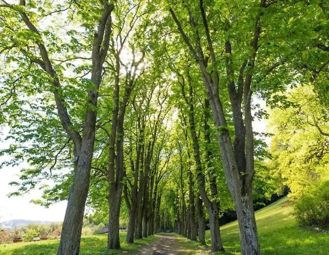 Urlaub In Schlossnaehe * Artstetten